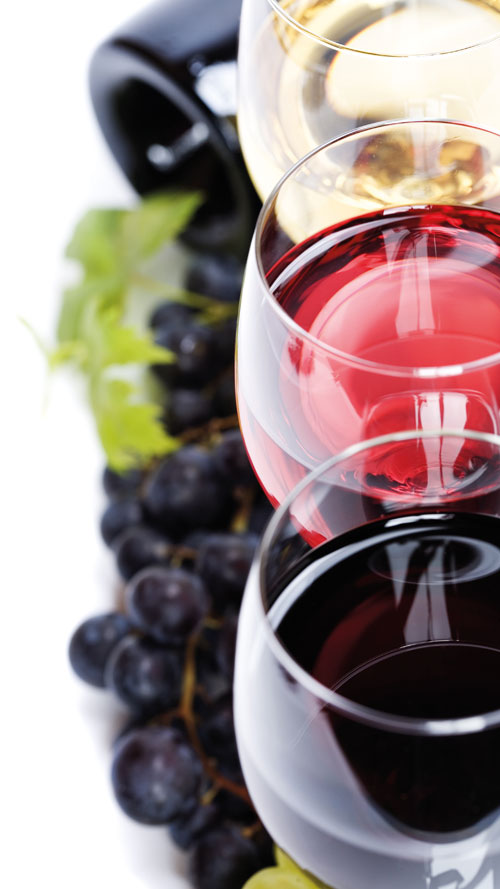 Weinschmecker_500x889